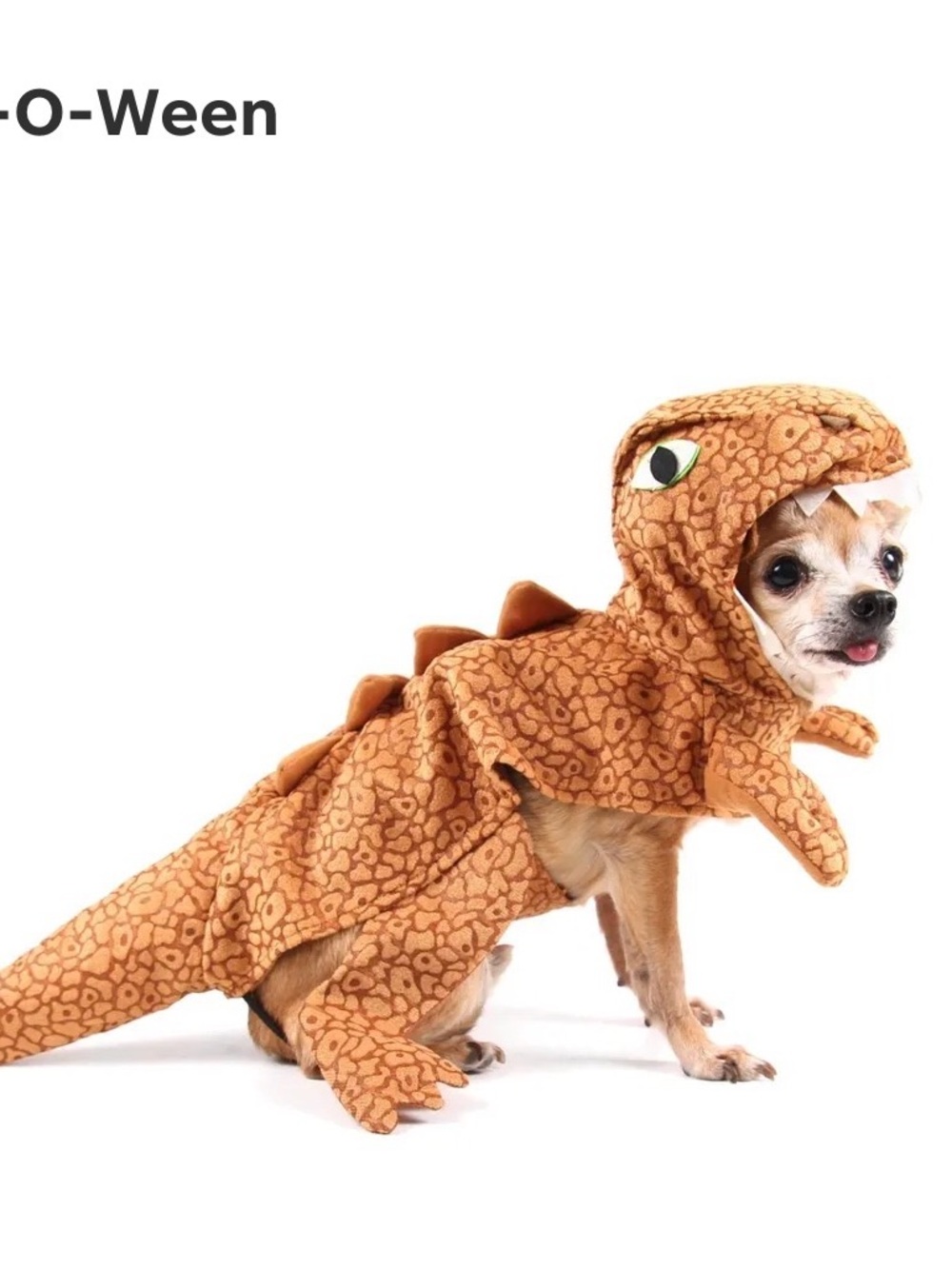 Petco Dinosaur dog Costume